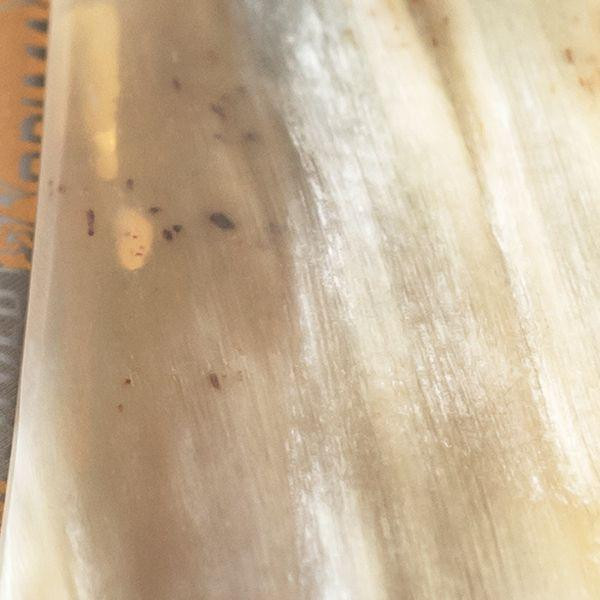 Rasiermesser 5/8" Karbon | Prima Büffelhorn