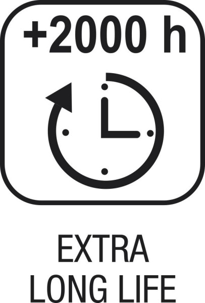 Haartrockner Swiss Silent Jet 8500 Ionic TF